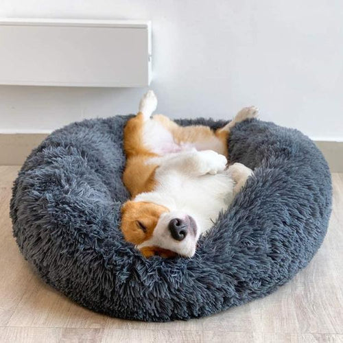 (Last Day Promotion 50% OFF!)-ROSOPLTM Comfy Calming Dog/Cat Bed