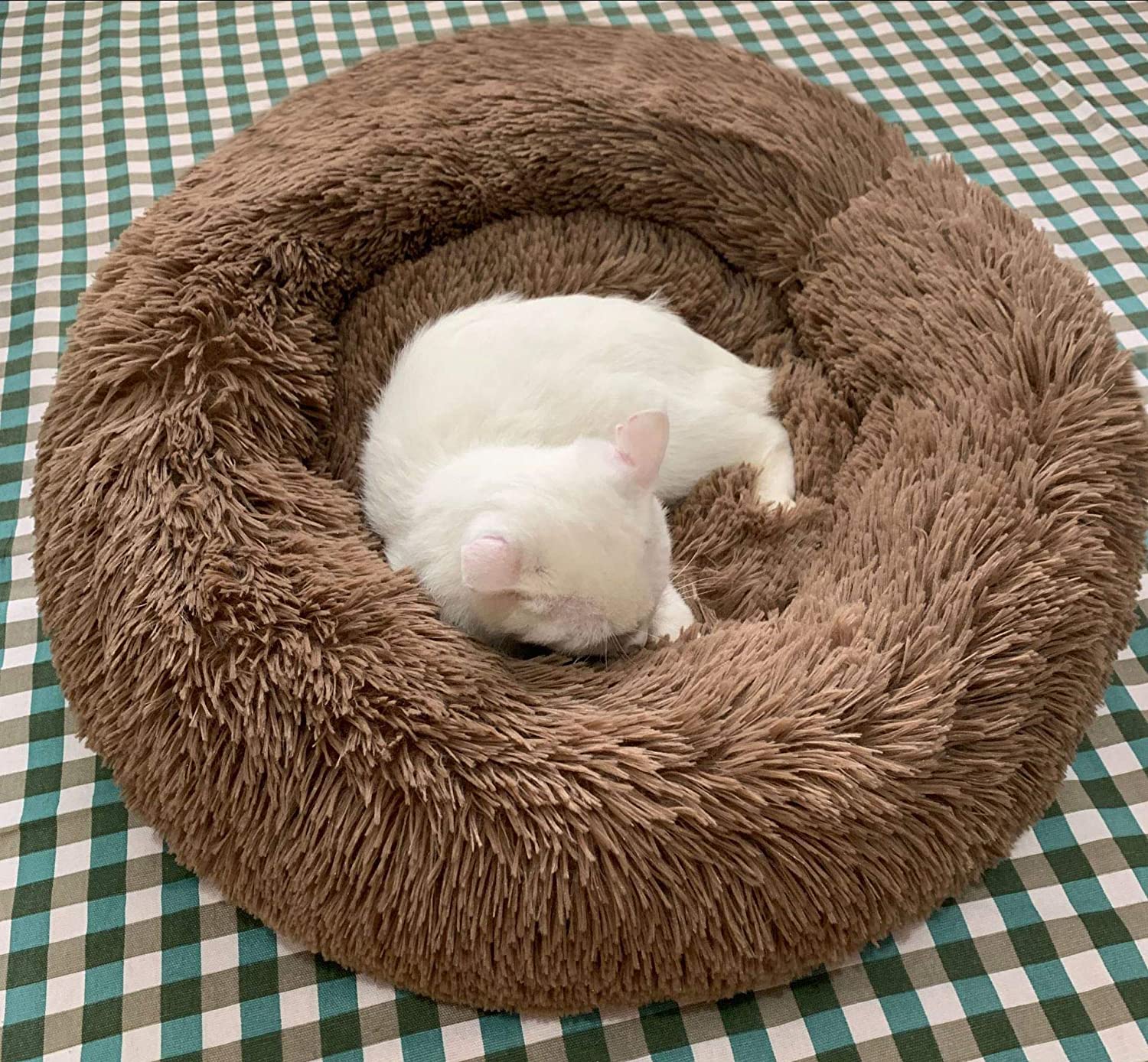 (Last Day Promotion 50% OFF!)-ROSOPLTM Comfy Calming Dog/Cat Bed