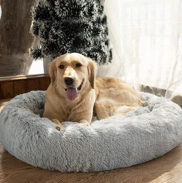 (Last Day Promotion 50% OFF!)-ROSOPLTM Comfy Calming Dog/Cat Bed